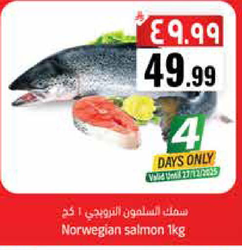 available at ستي فلاور in مملكة العربية السعودية, السعودية, سعودية - الجبيل‎