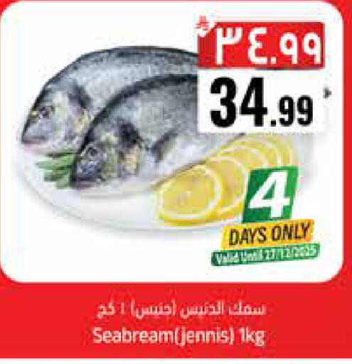 available at ستي فلاور in مملكة العربية السعودية, السعودية, سعودية - سكاكا