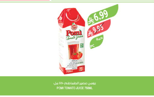 Tomato available at المزرعة in مملكة العربية السعودية, السعودية, سعودية - نجران