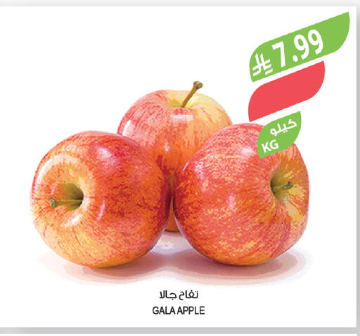 Apple available at المزرعة in مملكة العربية السعودية, السعودية, سعودية - الباحة