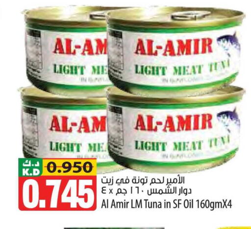 Mango available at مانجو هايبرماركت in الكويت - مدينة الكويت