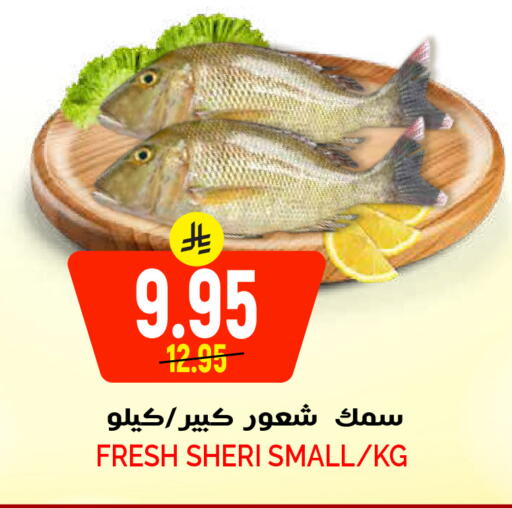 available at جراند هايبر in مملكة العربية السعودية, السعودية, سعودية - الرياض