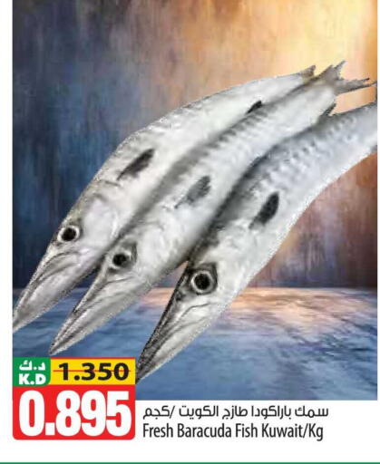 Mango available at Mango Hypermarket  in Kuwait - Kuwait City