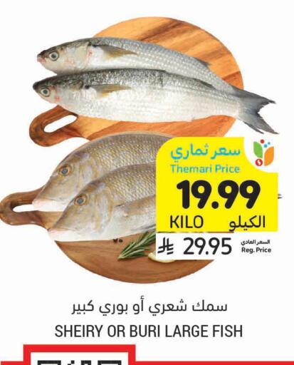 available at أسواق التميمي in مملكة العربية السعودية, السعودية, سعودية - عنيزة