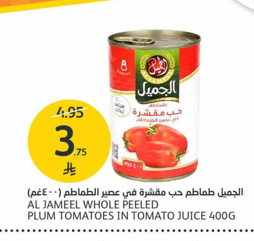 Plum Tomato available at مركز الجزيرة للتسوق in مملكة العربية السعودية, السعودية, سعودية - الرياض