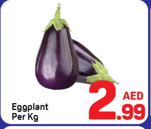 Eggplant available at دي تو دي in الإمارات العربية المتحدة , الامارات - دبي