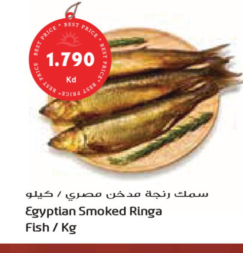 available at جراند كوستو in الكويت - محافظة الأحمدي