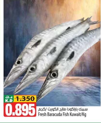 Mango available at مانجو هايبرماركت in الكويت - محافظة الأحمدي