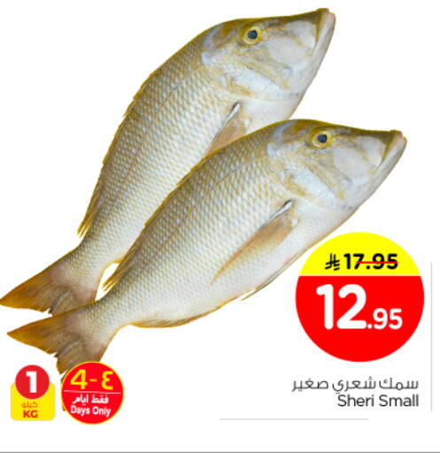 available at نستو in مملكة العربية السعودية, السعودية, سعودية - الرياض