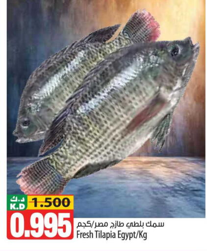 Mango available at مانجو هايبرماركت in الكويت - محافظة الأحمدي