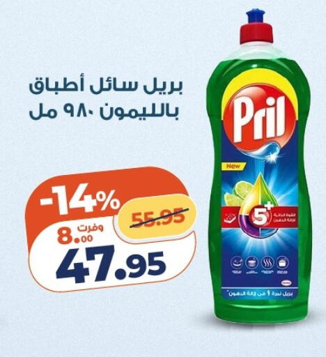 available at كازيون in Egypt - القاهرة