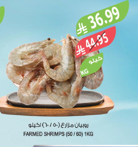 available at المزرعة in مملكة العربية السعودية, السعودية, سعودية - أبها