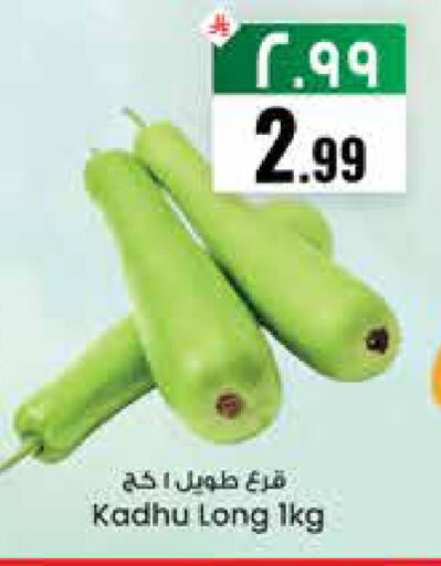 available at City Flower in KSA, Saudi Arabia, Saudi - Sakaka