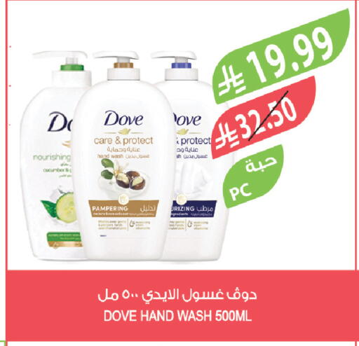 Cucumber available at Farm  in KSA, Saudi Arabia, Saudi - Abha