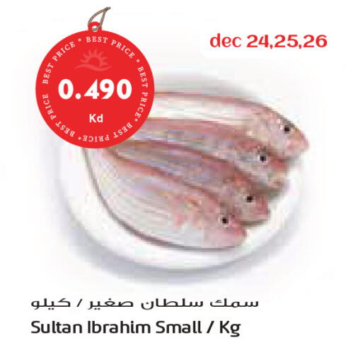 available at جراند كوستو in الكويت - مدينة الكويت