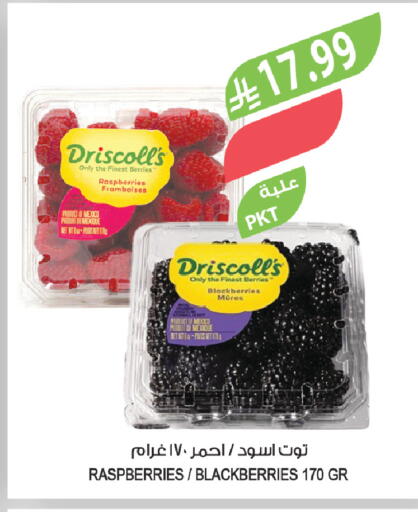 from Mexico available at Farm  in KSA, Saudi Arabia, Saudi - Al Khobar