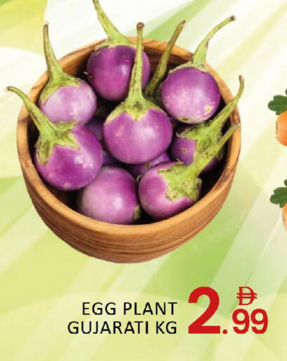 Mango available at مانجو هايبرماركت in الإمارات العربية المتحدة , الامارات - دبي