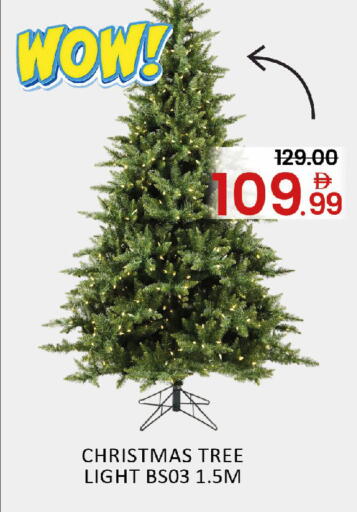 Mango available at مانجو هايبرماركت in الإمارات العربية المتحدة , الامارات - دبي