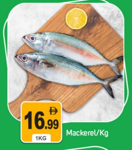 available at سوق طلال in الإمارات العربية المتحدة , الامارات - دبي