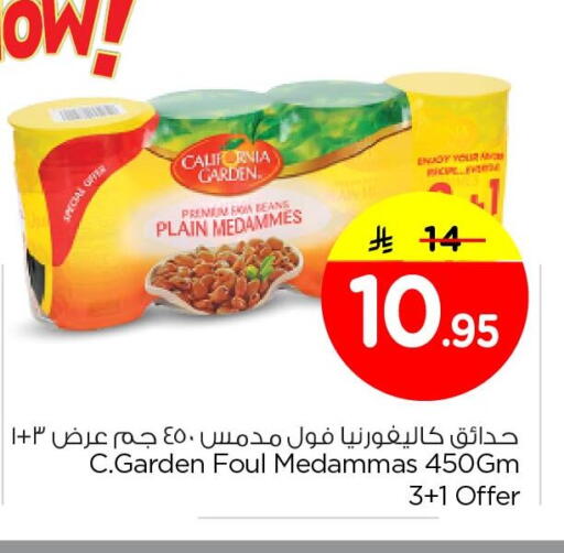 available at Nesto in KSA, Saudi Arabia, Saudi - Al Khobar