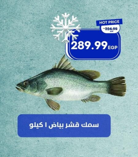 available at مترو ماركت in Egypt - القاهرة