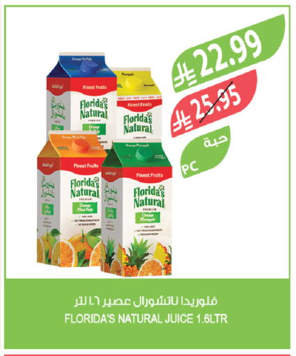 Orange Pineapple available at Farm  in KSA, Saudi Arabia, Saudi - Al-Kharj