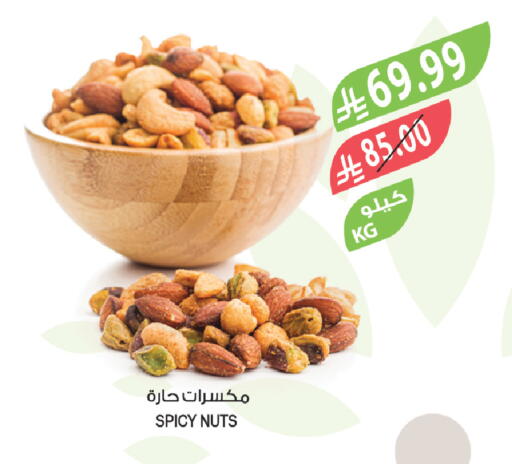 available at Farm  in KSA, Saudi Arabia, Saudi - Yanbu