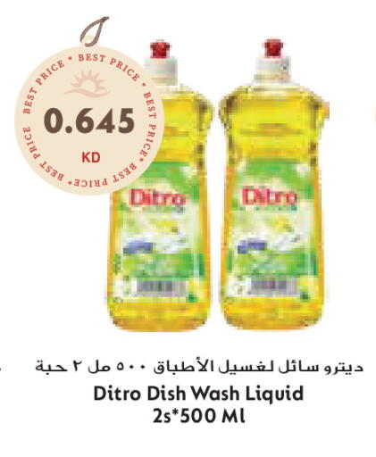 available at Grand Costo in Kuwait - Ahmadi Governorate