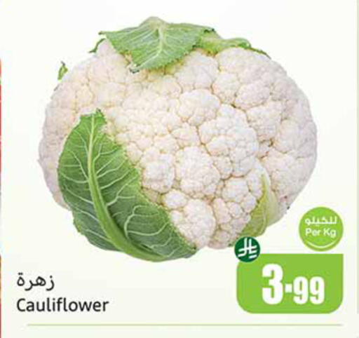 Cauliflower available at أسواق عبد الله العثيم in مملكة العربية السعودية, السعودية, سعودية - بيشة