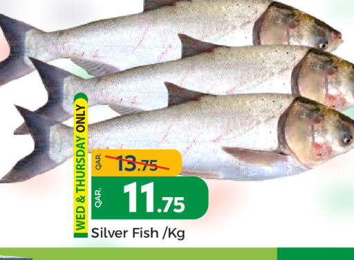 available at باريس هايبرماركت in قطر - الريان