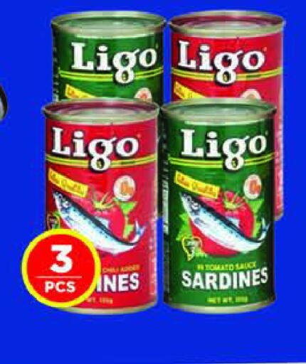 Tomato available at AL MADINA in UAE - Sharjah / Ajman