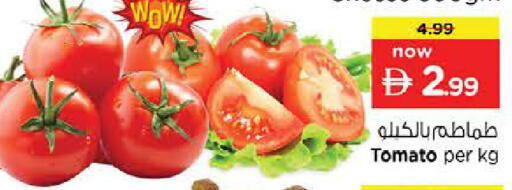 Tomato available at لاست تشانس in الإمارات العربية المتحدة , الامارات - ٱلْفُجَيْرَة‎