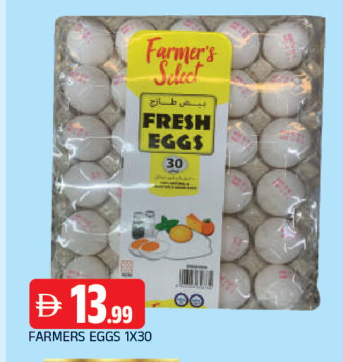 available at المدينة in الإمارات العربية المتحدة , الامارات - الشارقة / عجمان