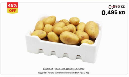 Potato from Egypt available at The Sultan Center in Kuwait - Ahmadi Governorate