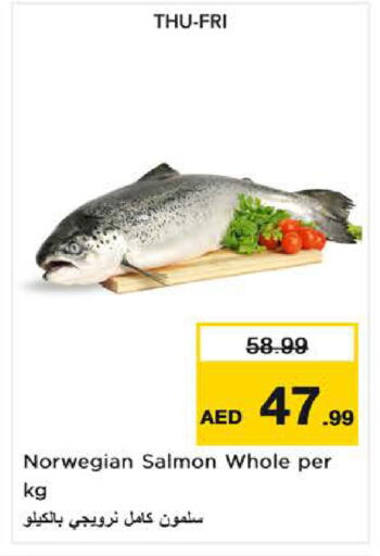 available at Nesto Hypermarket in UAE - Fujairah