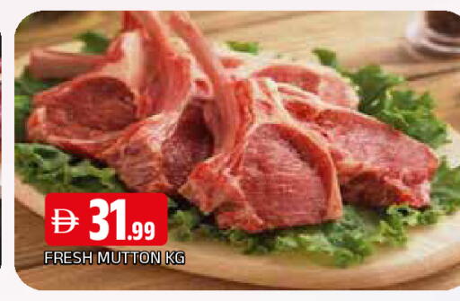 available at المدينة in الإمارات العربية المتحدة , الامارات - الشارقة / عجمان