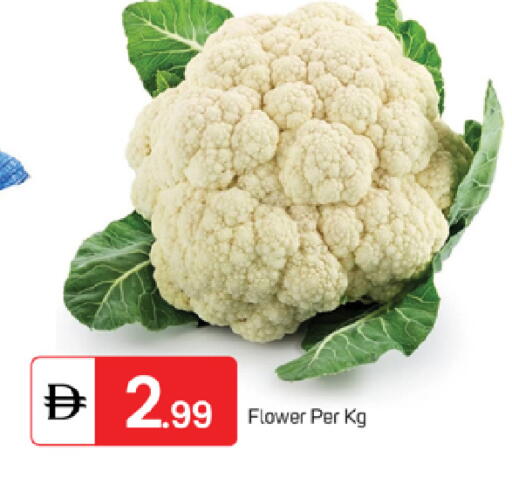 available at سوق طلال in الإمارات العربية المتحدة , الامارات - ٱلْفُجَيْرَة‎