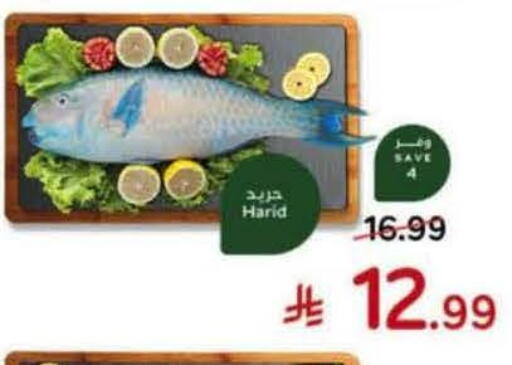 available at Hyper Panda in KSA, Saudi Arabia, Saudi - Ta'if