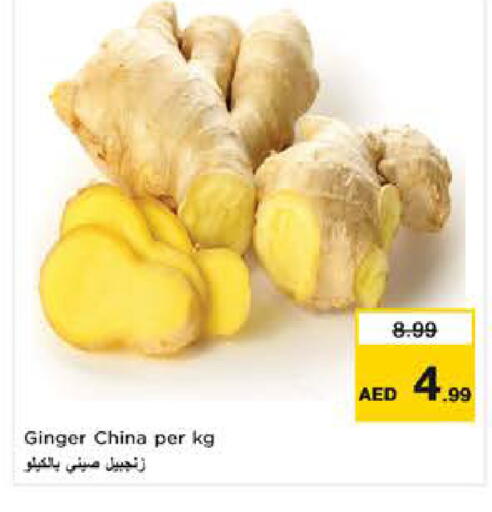 Ginger from China available at نستو هايبرماركت in الإمارات العربية المتحدة , الامارات - ٱلْعَيْن‎