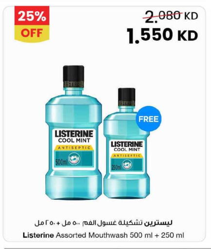 Mint available at The Sultan Center in Kuwait - Kuwait City