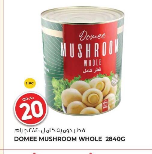 Mushroom available at جملة in قطر - الشمال