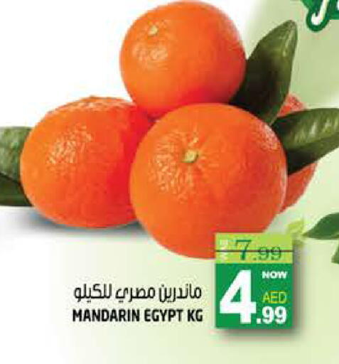 Mandarin from Egypt available at هاشم هايبرماركت in الإمارات العربية المتحدة , الامارات - الشارقة / عجمان
