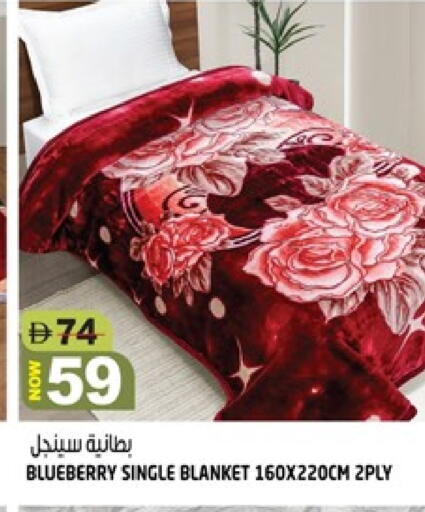 Blueberry BlueBerry available at هاشم هايبرماركت in الإمارات العربية المتحدة , الامارات - الشارقة / عجمان