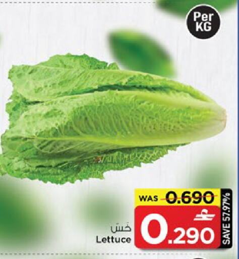Lettuce available at MARK & SAVE in Oman - Muscat