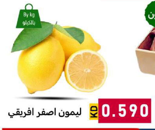 available at شركة سوق ميم المركزي  in الكويت - مدينة الكويت