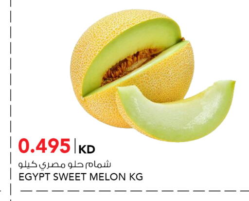 Melon from Egypt available at  ALNASSER HYPERMARKET in Kuwait - Ahmadi Governorate