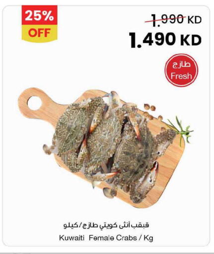 available at مركز سلطان in الكويت - محافظة الجهراء