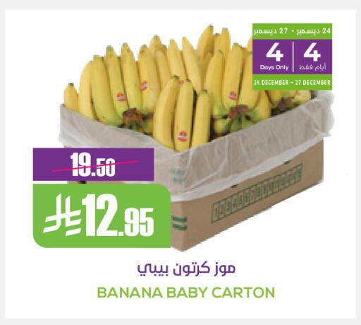 Banana available at سبت in مملكة العربية السعودية, السعودية, سعودية - بريدة