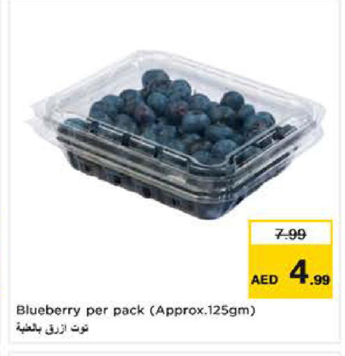 Blueberry BlueBerry available at نستو هايبرماركت in الإمارات العربية المتحدة , الامارات - ٱلْعَيْن‎