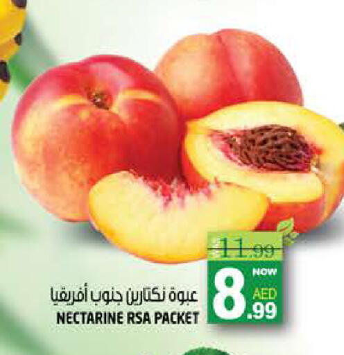 Nectarine available at هاشم هايبرماركت in الإمارات العربية المتحدة , الامارات - الشارقة / عجمان